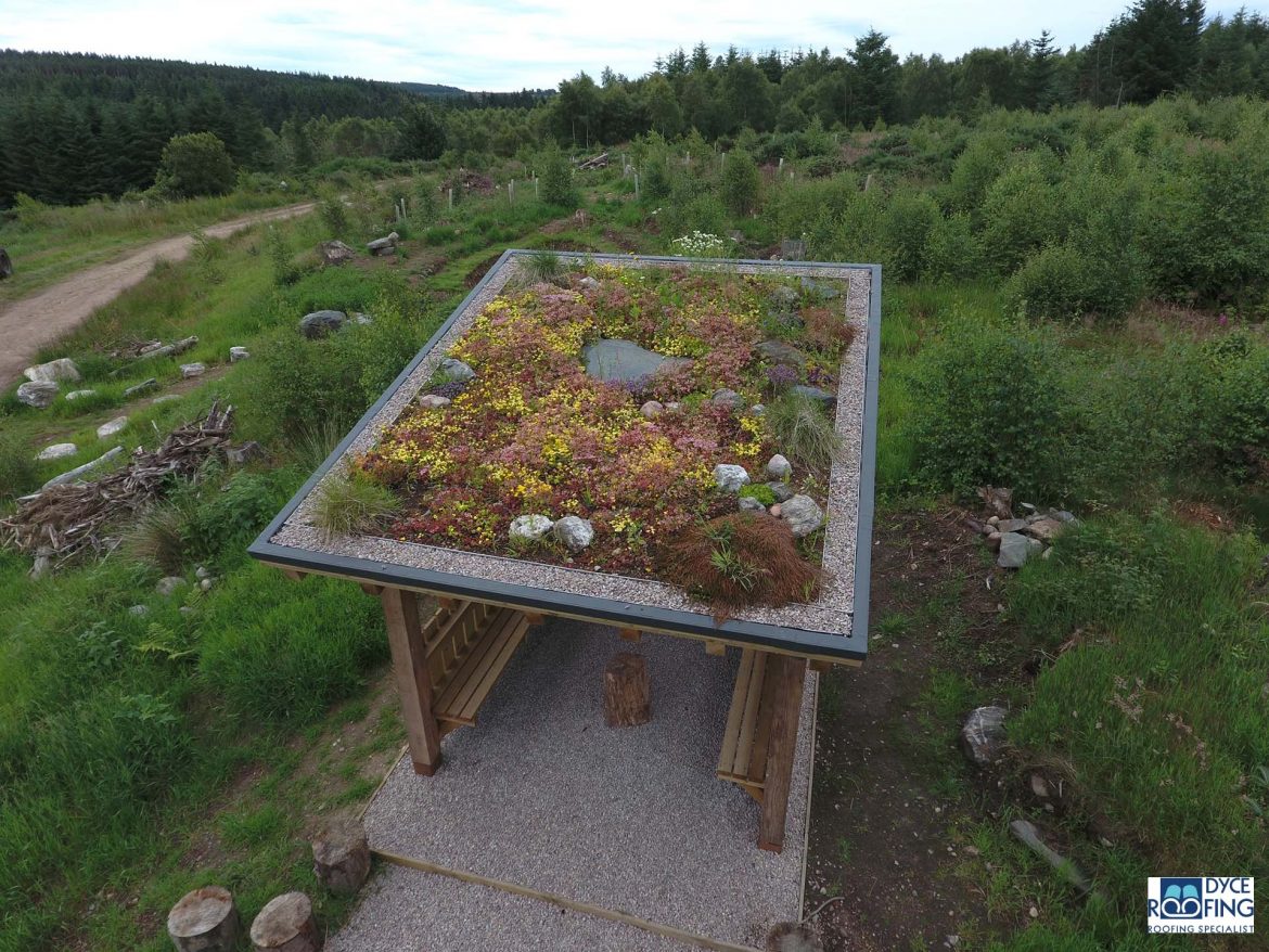Peterculter community garden roof